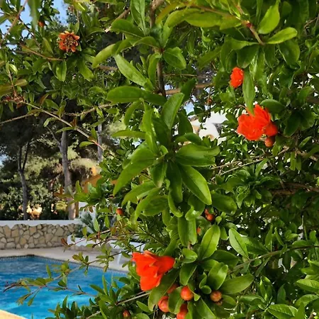 Casa Olivia Moraira